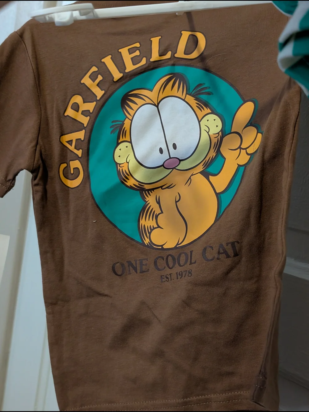 Nickelodeon Garfield 3T Outfit Set Brown Graphic Tee & Teal-White Striped Shorts